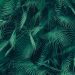 Palm tree leaves.